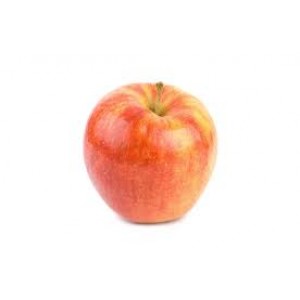 Alkmene nieuwe oogst Hollandse appels per kilo