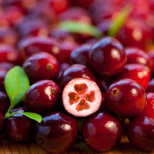 Cranberry's 175 gram